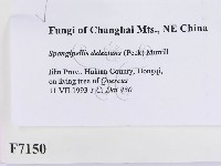 登錄號:F0007150藏品圖，第2張