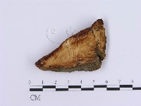 登錄號:F0007150藏品圖，第1張