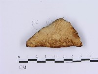 登錄號:F0007150藏品圖，第3張