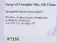 登錄號:F0007151藏品圖，第2張