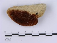 登錄號:F0007151藏品圖，第3張