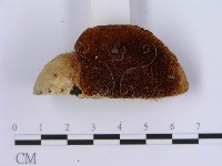 登錄號:F0007151藏品圖，第4張