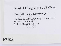 登錄號:F0007152藏品圖，第2張