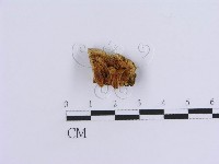 登錄號:F0007152藏品圖，第1張