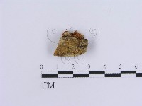 登錄號:F0007152藏品圖，第3張