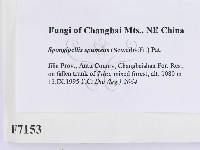 登錄號:F0007153藏品圖，第2張