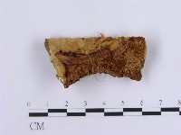 登錄號:F0007153藏品圖，第1張