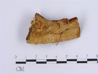 登錄號:F0007153藏品圖，第3張