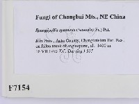 登錄號:F0007154藏品圖，第2張