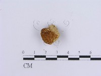 登錄號:F0007154藏品圖，第3張