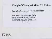 登錄號:F0007155藏品圖，第2張