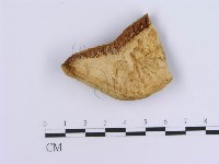 登錄號:F0007155藏品圖，第3張