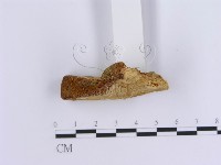 登錄號:F0007155藏品圖，第4張