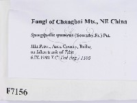 登錄號:F0007156藏品圖，第2張