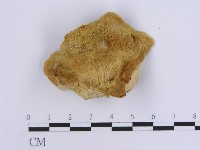 登錄號:F0007156藏品圖，第1張