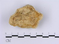 登錄號:F0007156藏品圖，第3張