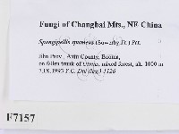 登錄號:F0007157藏品圖，第2張