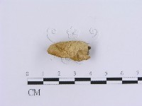 登錄號:F0007157藏品圖，第3張