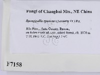 登錄號:F0007158藏品圖，第2張