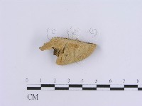 登錄號:F0007158藏品圖，第4張