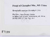 登錄號:F0007159藏品圖，第2張