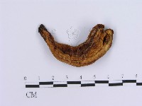 登錄號:F0007159藏品圖，第1張