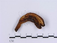 登錄號:F0007159藏品圖，第3張