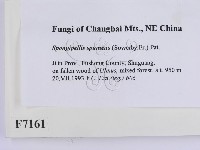 登錄號:F0007161藏品圖，第2張