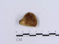 登錄號:F0007161藏品圖，第1張