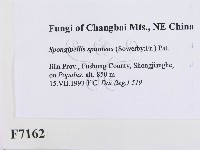 登錄號:F0007162藏品圖，第2張