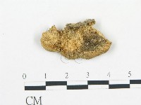 登錄號:F0007164藏品圖，第3張