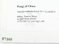 登錄號:F0007165藏品圖，第2張