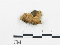 登錄號:F0007165藏品圖，第1張