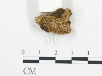 登錄號:F0007165藏品圖，第3張