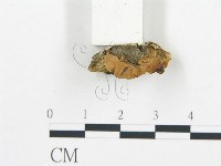 登錄號:F0007165藏品圖，第4張