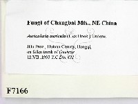 登錄號:F0007166藏品圖，第2張