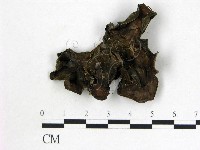 登錄號:F0007166藏品圖，第3張