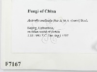 登錄號:F0007167藏品圖，第2張