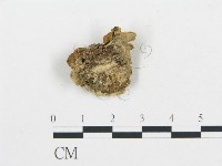 登錄號:F0007167藏品圖，第3張