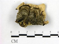 登錄號:F0007168藏品圖，第3張