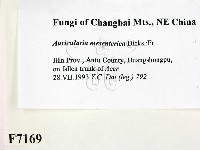 登錄號:F0007169藏品圖，第2張