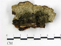 登錄號:F0007169藏品圖，第1張