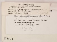 登錄號:F0007171藏品圖，第2張