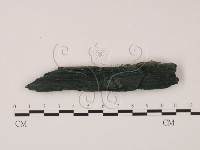 登錄號:F0007171藏品圖，第1張