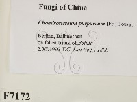 登錄號:F0007172藏品圖，第2張