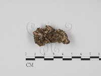 登錄號:F0007172藏品圖，第1張