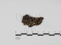 登錄號:F0007172藏品圖，第3張