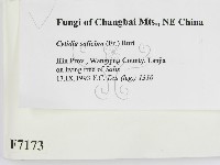 登錄號:F0007173藏品圖，第2張