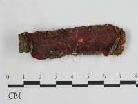 登錄號:F0007173藏品圖，第1張