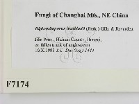 登錄號:F0007174藏品圖，第2張